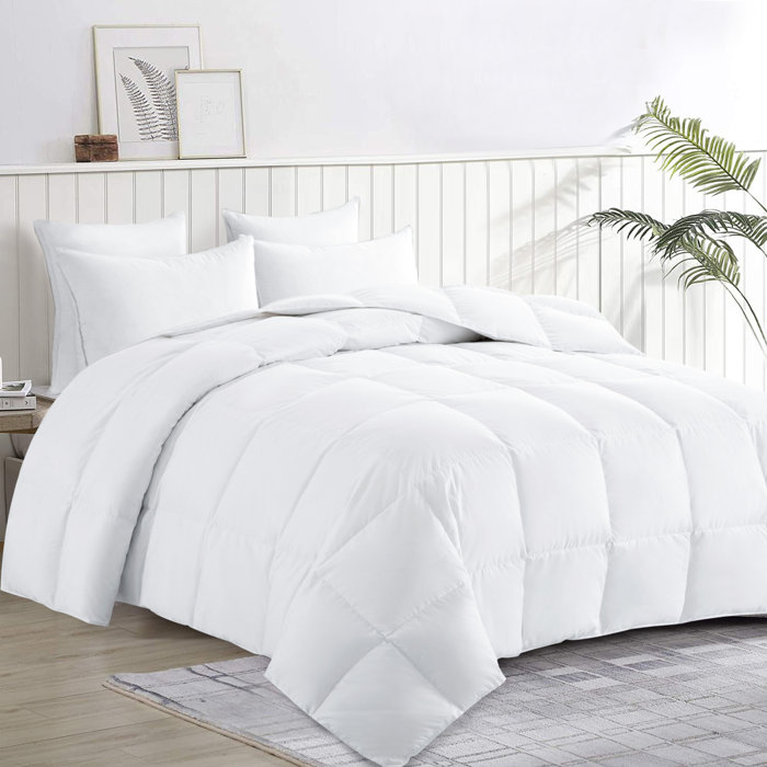 Alwyn Home Summer Duck Down Comforter & Reviews Wayfair